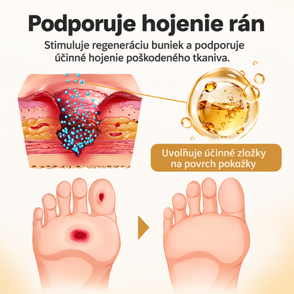 𝑯𝒖𝒅𝒓𝒐𝒔® 🧪 𝑮𝒍𝒖𝒄𝒂𝑽𝒆𝒊𝒍 24𝑯 𝒐𝒄𝒉𝒓𝒂𝒏𝒏ý 𝒔𝒑𝒓𝒆𝒋 𝒏𝒂 𝒏𝒐𝒉𝒚 🌳🌳