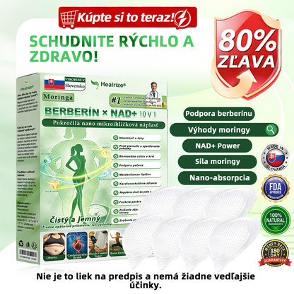 🇸🇰 𝑶𝒇𝒊𝒄𝒊á𝒍𝒏𝒚 𝒐𝒃𝒄𝒉𝒐𝒅 | Healrize® Moringa · Berberine × NAD+ 10-in-1 Pokročilá nano mikroihličková náplasť