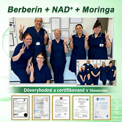 🇸🇰 𝑶𝒇𝒊𝒄𝒊á𝒍𝒏𝒚 𝒐𝒃𝒄𝒉𝒐𝒅 | Healrize® Moringa · Berberine × NAD+ 10-in-1 Pokročilá nano mikroihličková náplasť